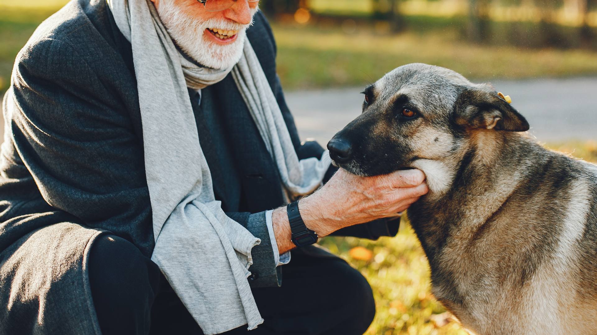 Pet End Of Life Care In Mill Hall, PA 17745 | Fishing Creek Veterinary ...